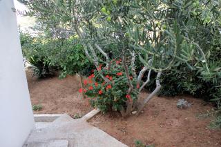 Apartments with a parking space Hvar - 5701 - 2