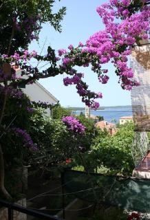 Apartments and rooms with parking space Hvar - 4613 - 4