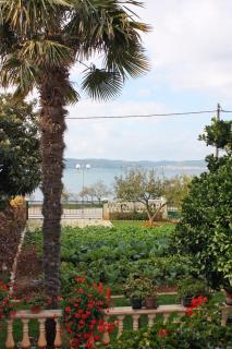 Apartments by the sea Bibinje, Zadar - 5866 - Bibinje - 4