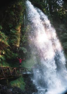 Treca Rupan Lodge - 5