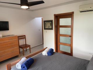 Kite Beach Oceanfront Two Bedroom Patio and Garden - Cabarete - 4