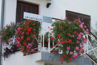 Apartments by the sea Biograd na Moru, Biograd - 5744 - 3
