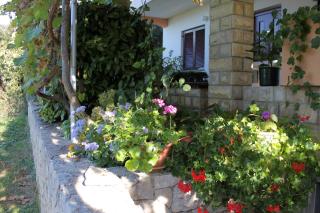 Family friendly seaside apartments Kozino, Zadar - 5749 - 5