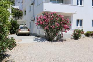 Apartments by the sea Kuciste - Perna, Peljesac - 4545 - Kučište - 1