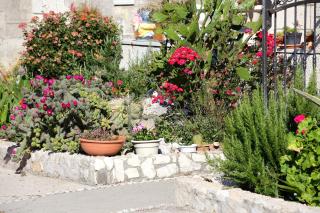 Apartments by the sea Trstenik, Peljesac - 4570 - Trstenik - 4