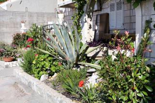 Apartments by the sea Trstenik, Peljesac - 4570 - Trstenik - 2