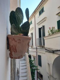 Casa SIFRA delizioso appartamento nel cuore del centro storico di Sperlonga - Sperlonga - 8