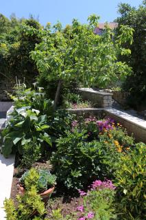 Apartments by the sea Lumbarda, Korcula - 4442 - Lumbarda - 2