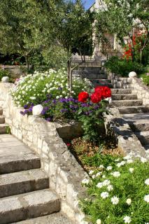Apartments by the sea Orebic, Peljesac - 4496 - Orebić - 3