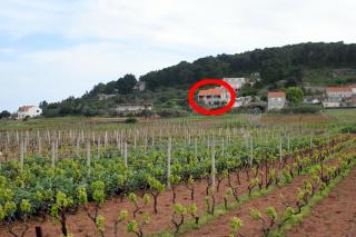 Apartments with a parking space Lumbarda, Korcula - 4352 - Lumbarda - 9