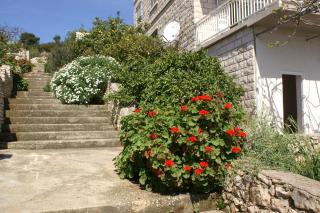 Apartments by the sea Lumbarda, Korcula - 4440 - Lumbarda - 2