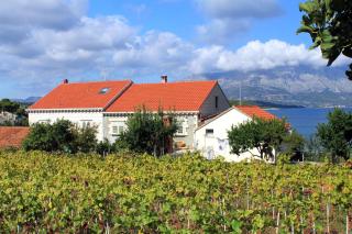 Apartments by the sea Lumbarda, Korcula - 4378 - Lumbarda - 9