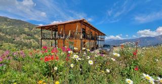 Balcones de El Carrizal - El Cocuy - 0