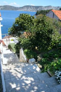 Apartments by the sea Racisce, Korcula - 4360 - Račišće - 3