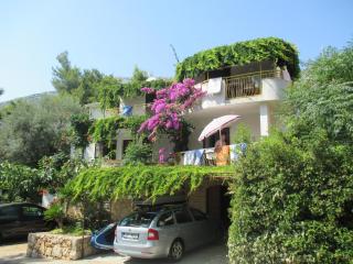 Apartments by the sea Ivan Dolac, Hvar - 4584 - Ivan Dolac - 0