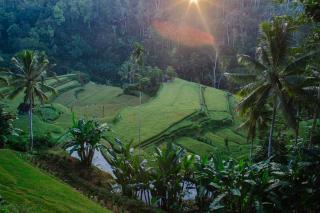 Suarapura Resort & Spa - Tegalalang - 6