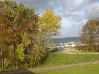 Residenz am Strand Wohnung 2-44 - Zingst - 5
