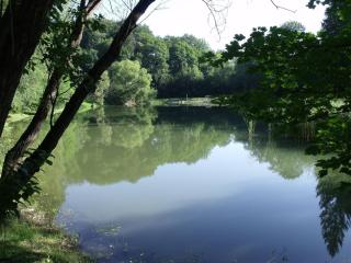 Sebesvi­z Panzió - 3