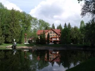 Sebesviz Panzió - Répáshuta - 4
