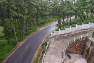 TreeTops Residency - Shillong - 8