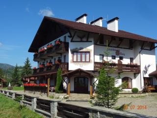 Alpenhof Pansion - Slavske - 0