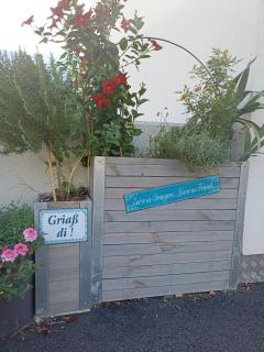 Beim Orgeler - Fügen - 2