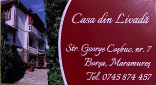 Casa din livada - Borşa - 2
