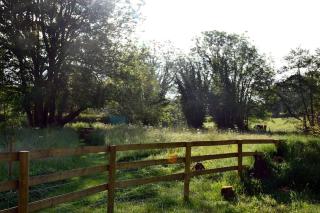 Large Luxury Shepherds Hut with Hot Tub nr Bath - Bristol - 6