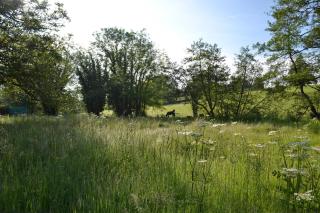 Large Luxury Shepherds Hut with Hot Tub nr Bath - Bristol - 4