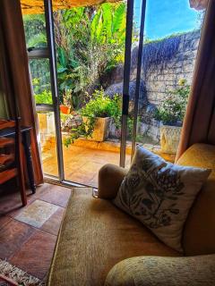 Camellia Haven - Pretoria - 8