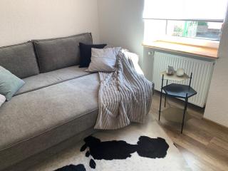 Nibelungen Boardinghouse 1 Zimmer Apartment - Lindenfels - 7