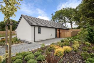 Pine Cottage - Tenby - 8