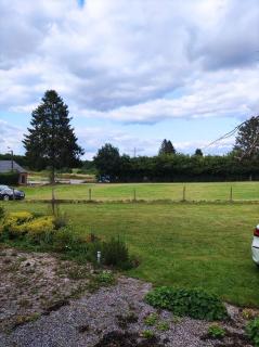 Voitures et nature - Stavelot - 8