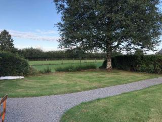 Voitures et nature - Stavelot - 7