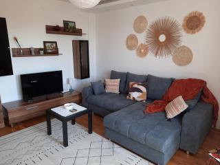 Biser Dunava -- Pearl of Danube Apartment - Smederevo - 8
