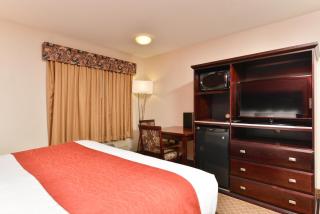Comfort Inn & Suites Airport South - Calgary - 1