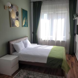 B8 - Spacious, Charming Apartment in Central Sibiu - Sibiu - 1