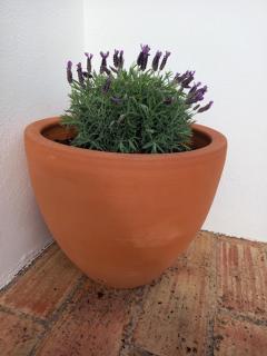 Cozy summer house - Alvor - 3