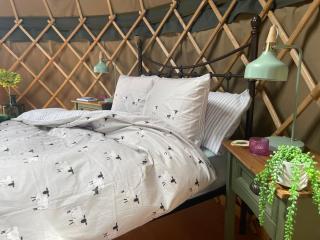 Thistlebank Yurt - 6