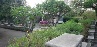 The Meadows Resort and Spa - Aurangabad - 7