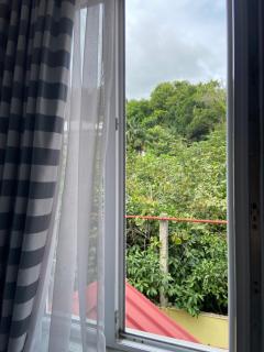 Guest House - Green Space - Batumi - 7