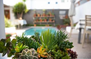Paternoster Dunes Boutique Guesthouse - Paternoster - 3
