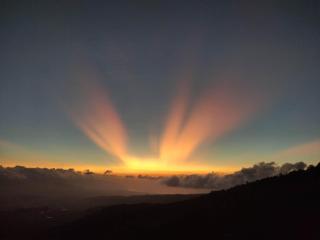 Puri Sunset Homestay - Munduk - 3