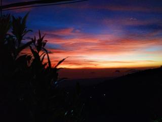 Puri Sunset Homestay - Munduk - 4