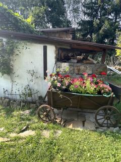 Apartament pod Brzozami - 0