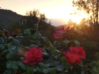 Source Nature - Le Mas-dʼAzil - 6