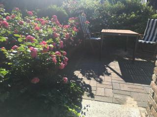 Ferienhaus am Meer - Friedrichskoog-Spitze - 6