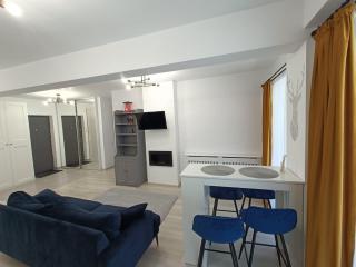 Apartament rafinat cu grădină privată - Floreşti - 9