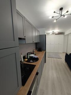 Apartament rafinat cu grădină privată - Floreşti - 3