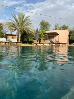the bird - Marrakech - 6
